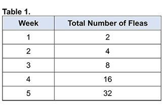 
                            
                                Data Table showing flea population over five weeks. Week 1: 2 fleas. Week 2: 4 fleas. Week 3: 8 fleas. Week 4: 16 fleas. Week 5: 32 fleas. 
                            
                            